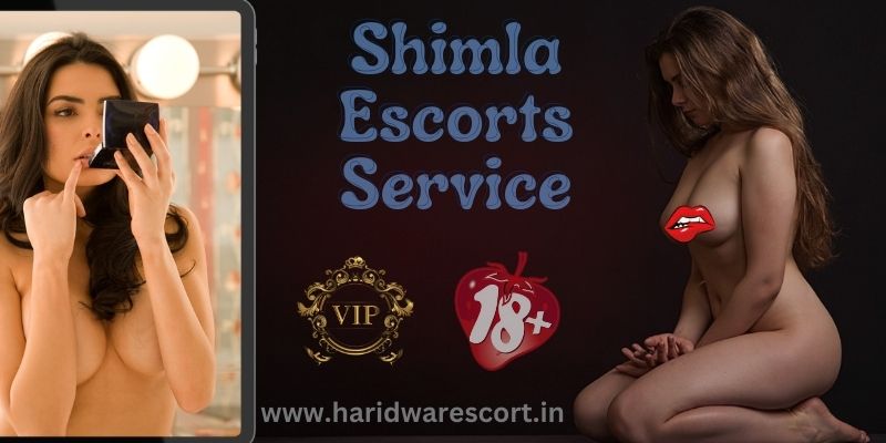 Shimla Escorts